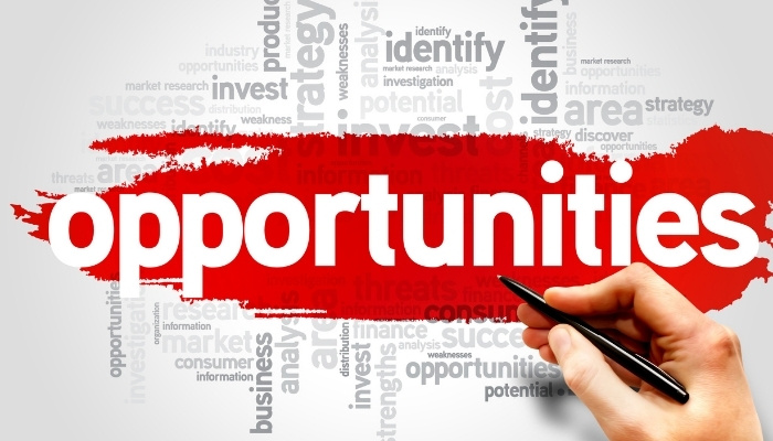 Temporary-to-Permanent Opportunities