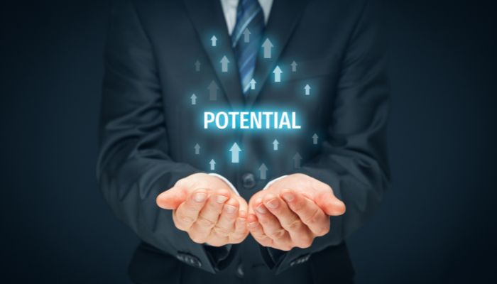 Maximizing Salesforce's Potential