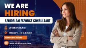 Senior Salesforce Consultant