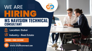 MS Navision Technical Consultant