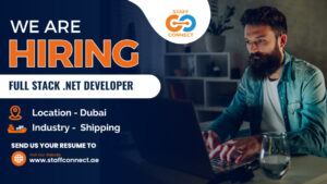 Full Stack .NET Developer
