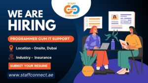 Programmer cum IT support