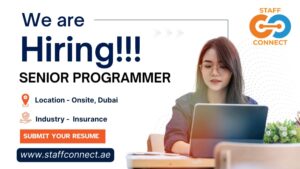 Senior Programmer