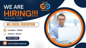 MS Excel Executive