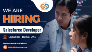 Salesforce Developer