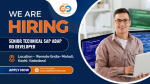 Senior Technical SAP ABAP OO Developer
