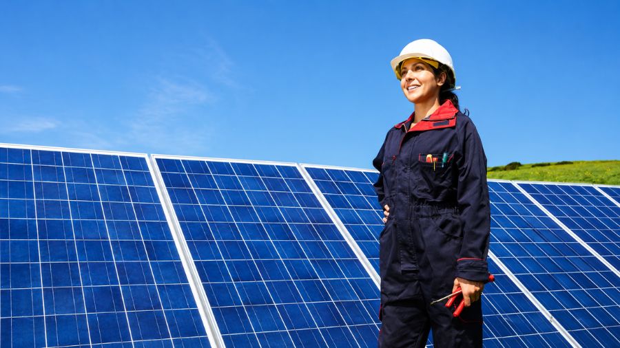 Renewable Energy and Sustainability Specialists