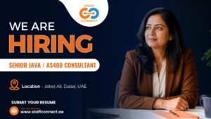 Senior Java AS400 Consultant